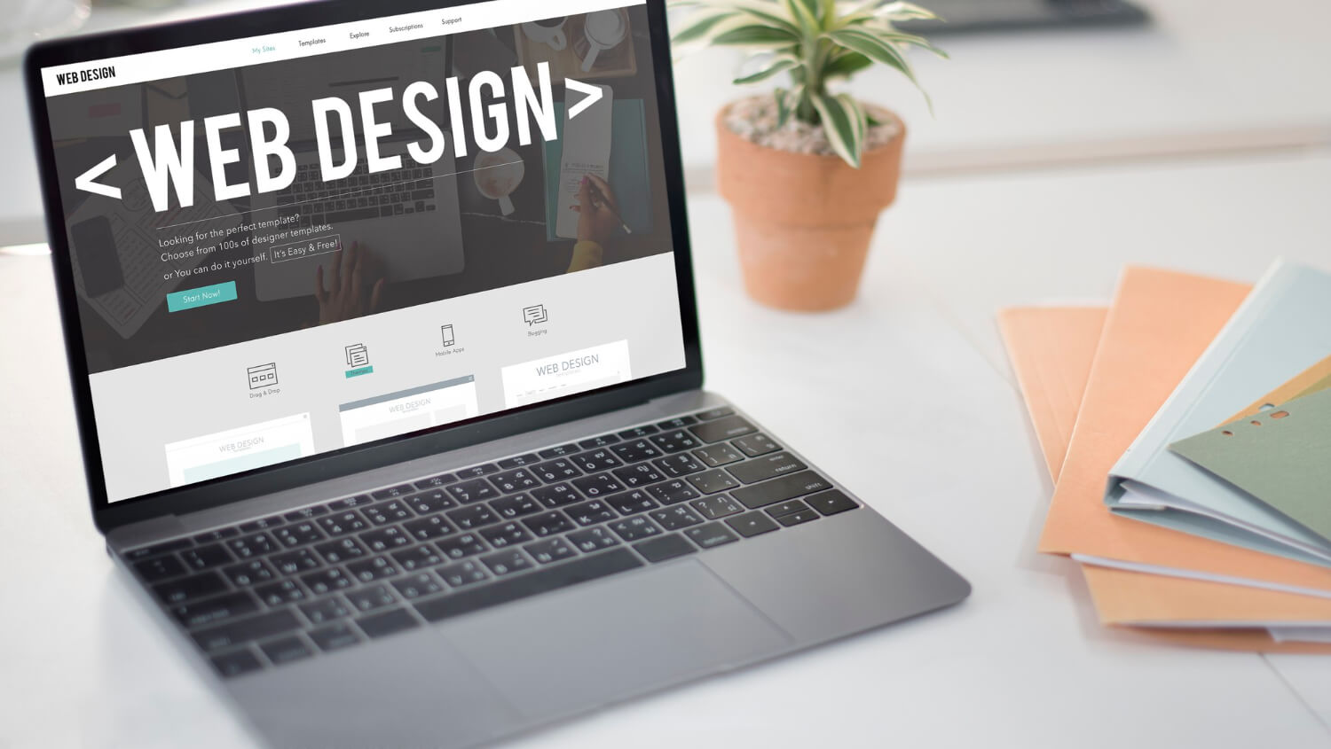 difference between website design and development